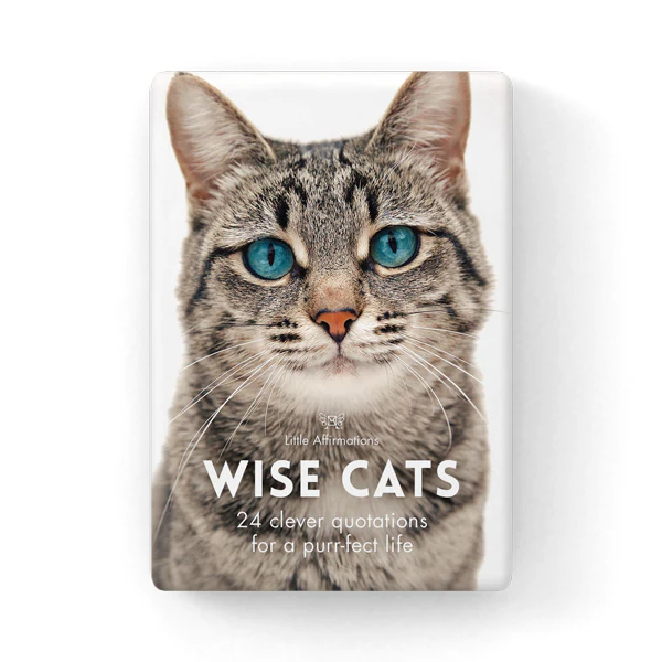 Affirmations 24 Cards - Wise Cats - DWC