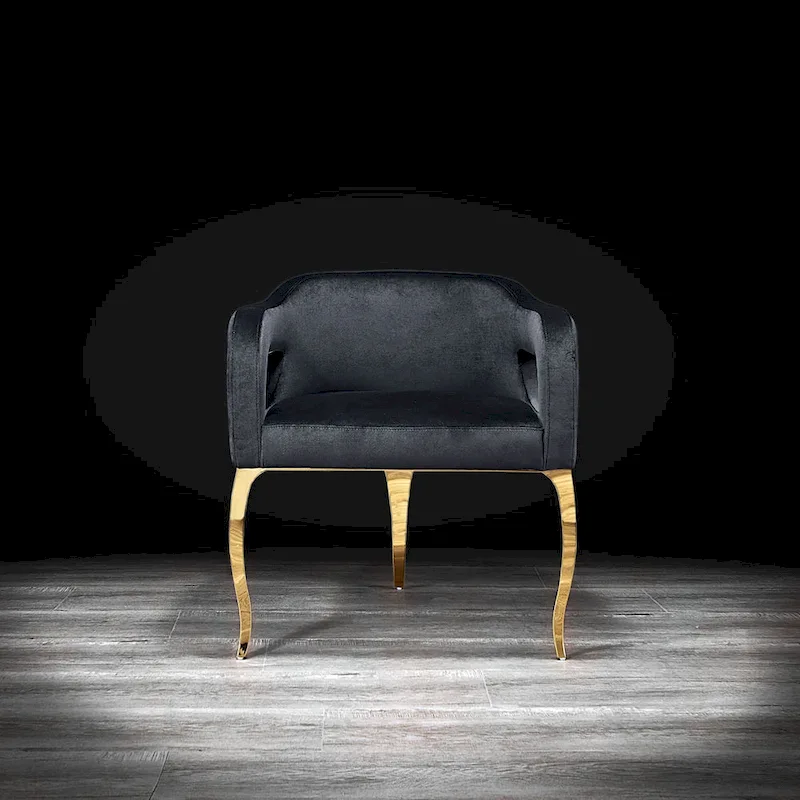 Caprice Titanium Gold Stainless Steel Dining Chair