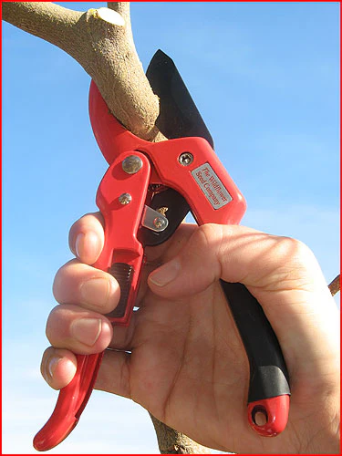 Ratchet Pruner 2