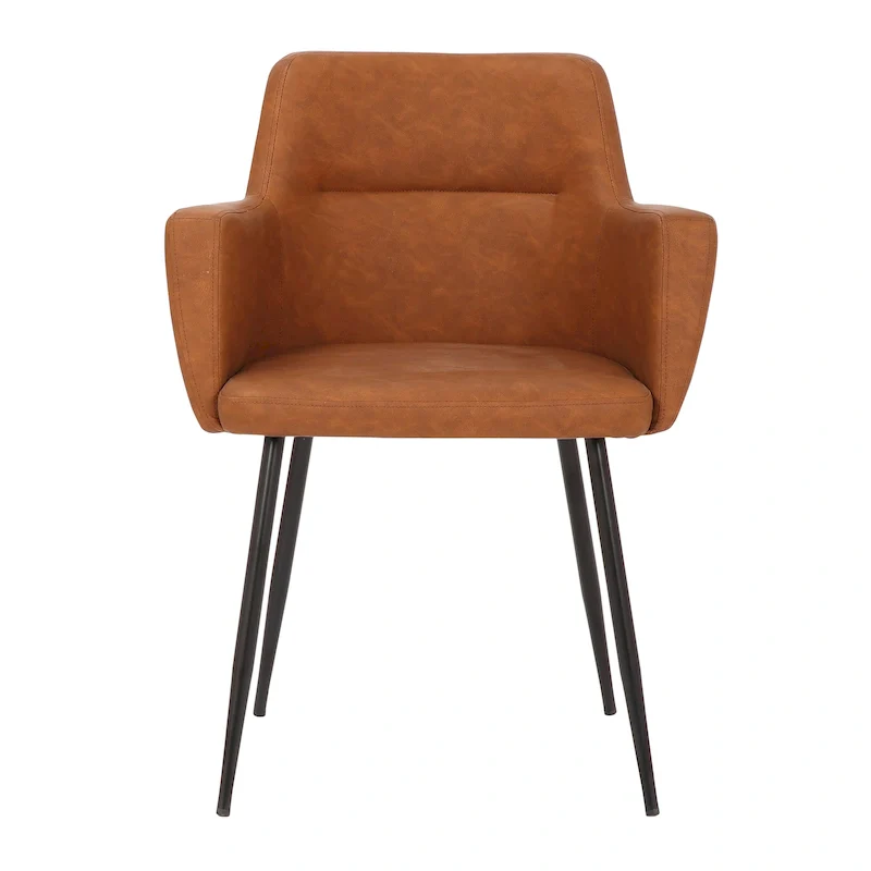 Modern-Style Dining Chairs & Accent Chairs (Set of 2)