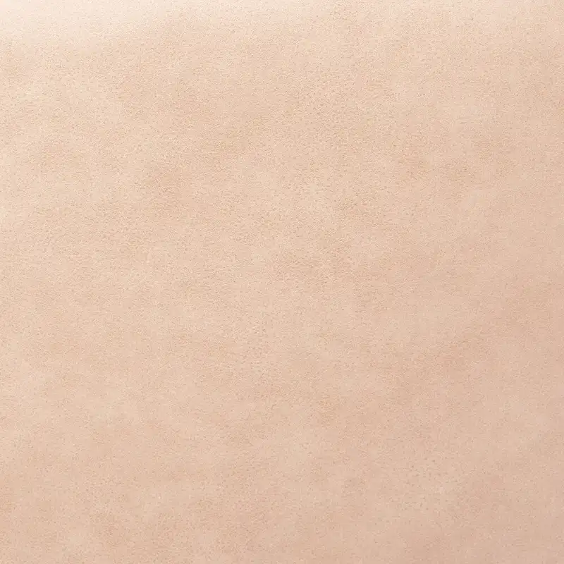 Upholstered Wingback Accent Chair with Wooden Frame and Legs