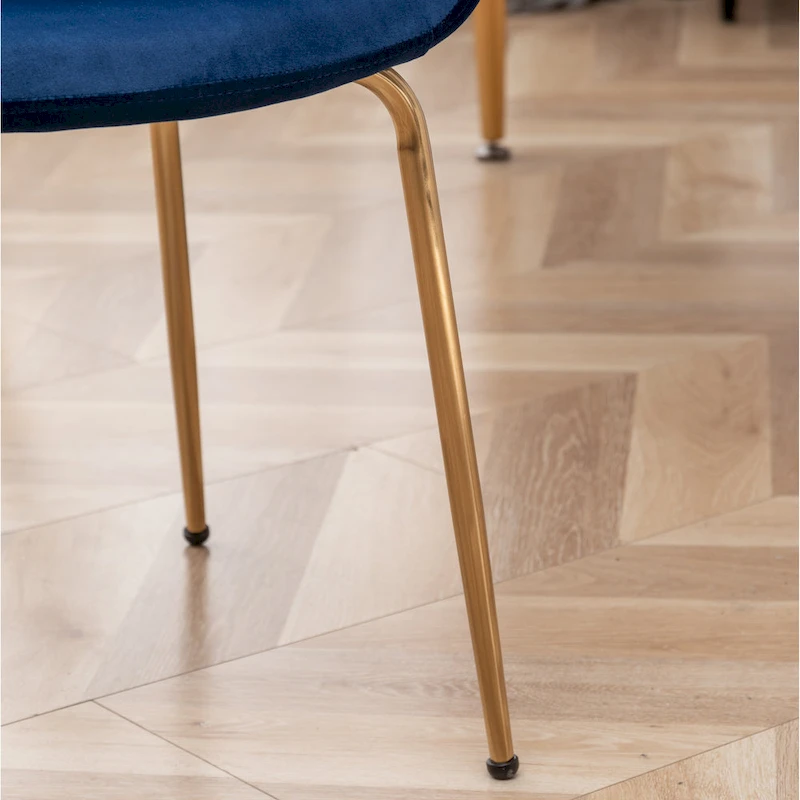 Roundhill Furniture Aufurr Modern Velvet Dining Chair (Set of 2)