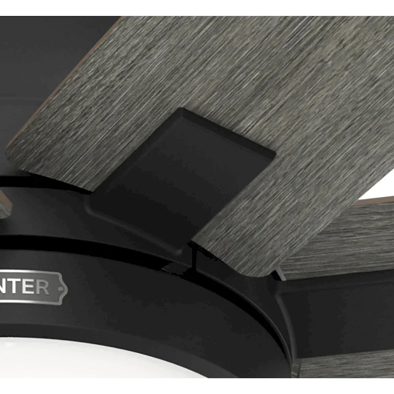 Hunter 60  Wilder Ceiling Fan with LED Light Kit and Wall Control