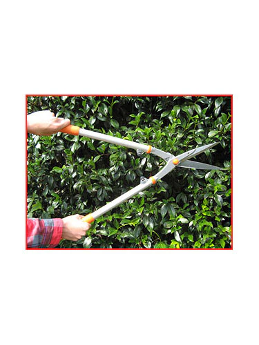 Pro Hedge Shears 1