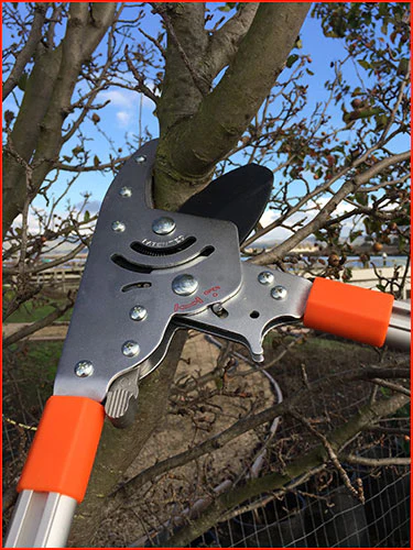 Pro Ratchet Lopper with Telescoping Handles 1