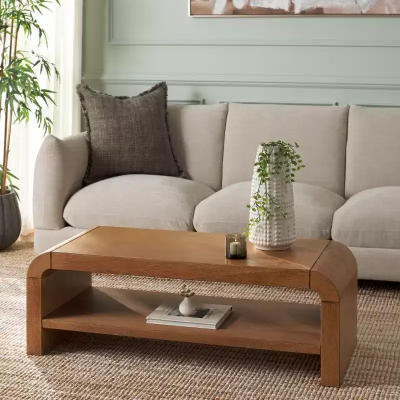 Avivan 1 Shelf Coffee Table - CNS6608 - Safavieh