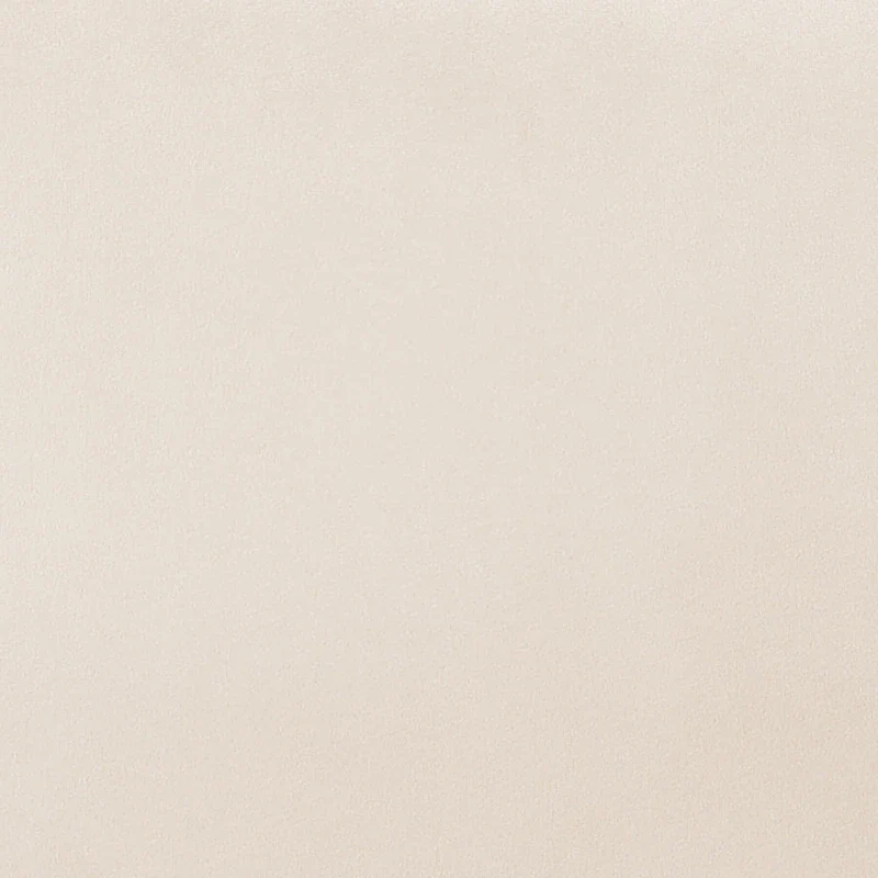 Suellyn 25.2-inch Wide Armrest Modern Chair