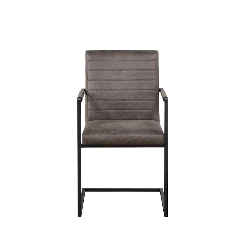 Modern Metal Upholstered Dining Chairs  (Set of 2)