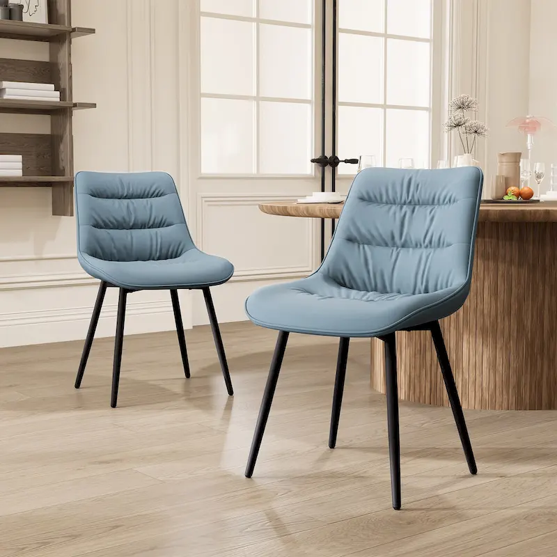 Dining Chairs Set of 2 Modern Kitchen Chairs Living Room Chairs