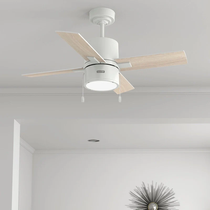 Hunter 42  Beck Ceiling Fan with LED Light Kit and Pull Chain - Transitional, Modern, Industrial
