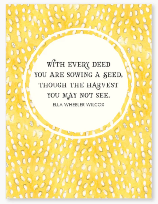 Affirmations -Twigseeds 24 Cards - A Little Box of Sunshine - DSU