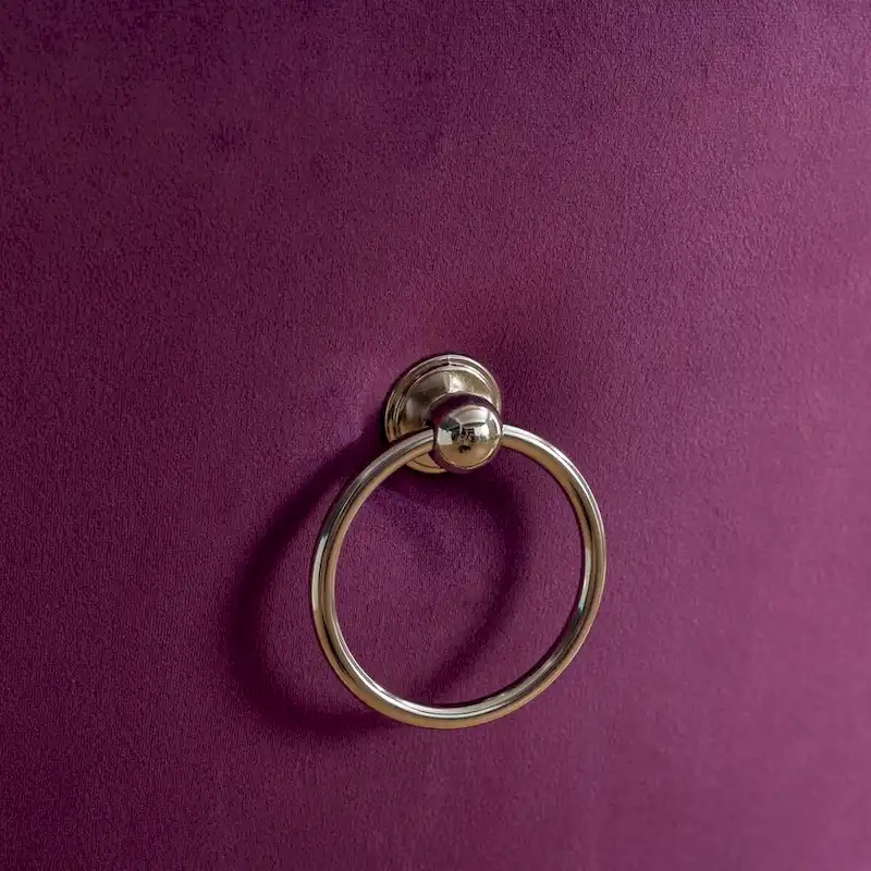 Set of 2 Velvet Dining Chairs with Nailhead Trim and Chrome-Plated Stainless Steel Legs