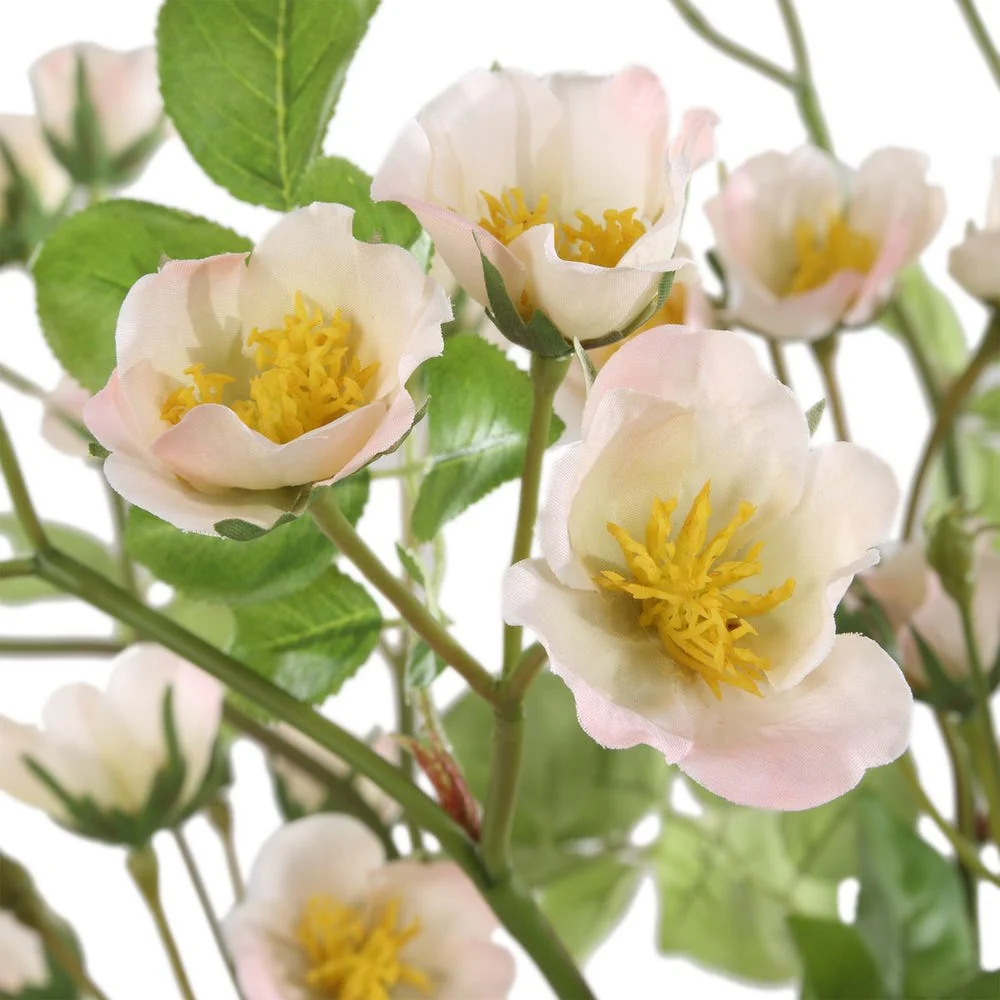 Tranquility Lenten Rose Bouquets, S/2