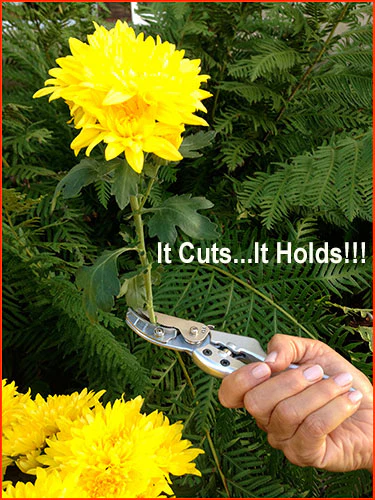 Woman's Pro™ Cut & Hold Pruner 1