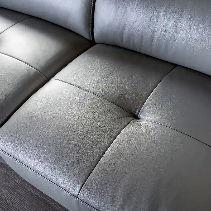 Furniture of America Jacques Modern Low Profile Leather L-Shaped Sectional with Chaise