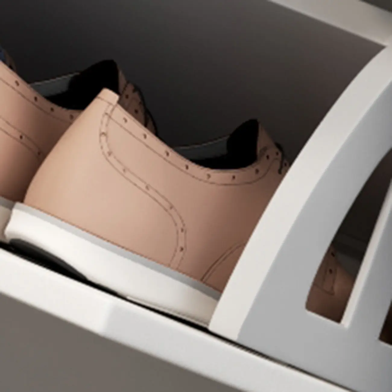 Modern Wood Shoe Cabinet with Adjustable Shelves, Entryway