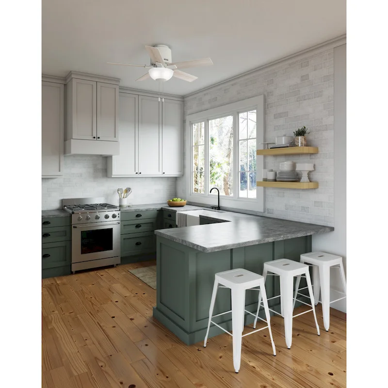 Hunter 44  Fitzgerald Low Profile Ceiling Fan with LED Light Kit and Pull Chain