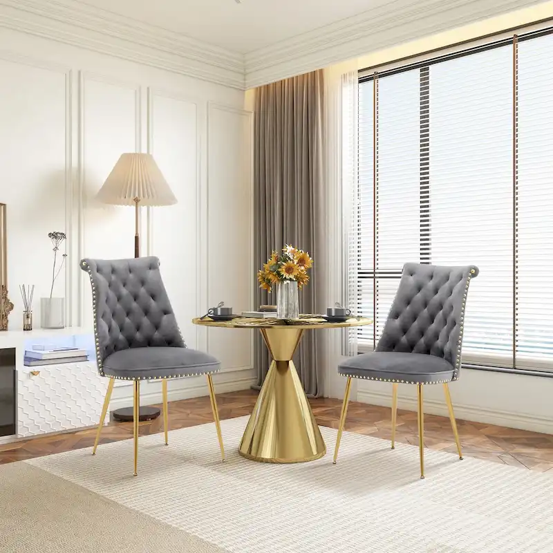 Clihome Modern Velvet Upholstered Featured Dining Chairs (Set of 2)