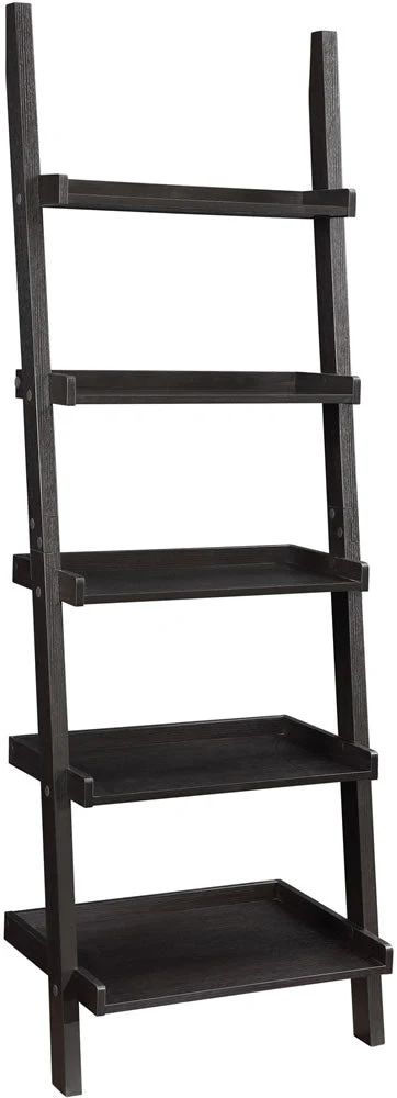 Ladder Bookcase