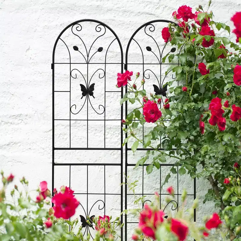 2-Pack 71x19.7in Metal Garden Trellis - Rustproof, Black, for Outdoor Climbing Plants & Flowers