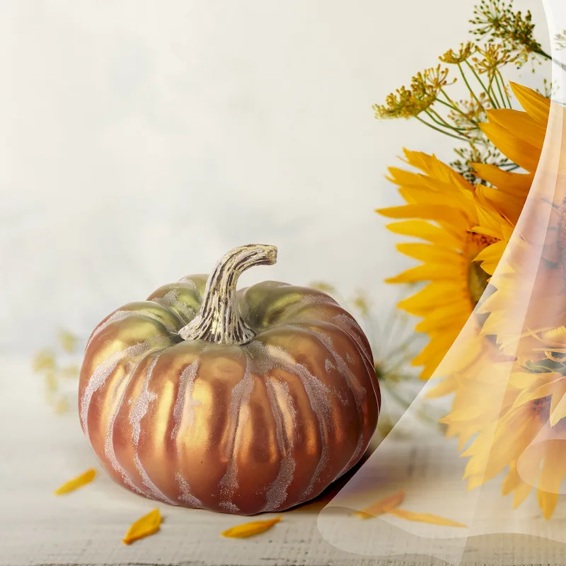 6  Autumn Pumpkin Set of 2 - strofoam:90% plastic:10%