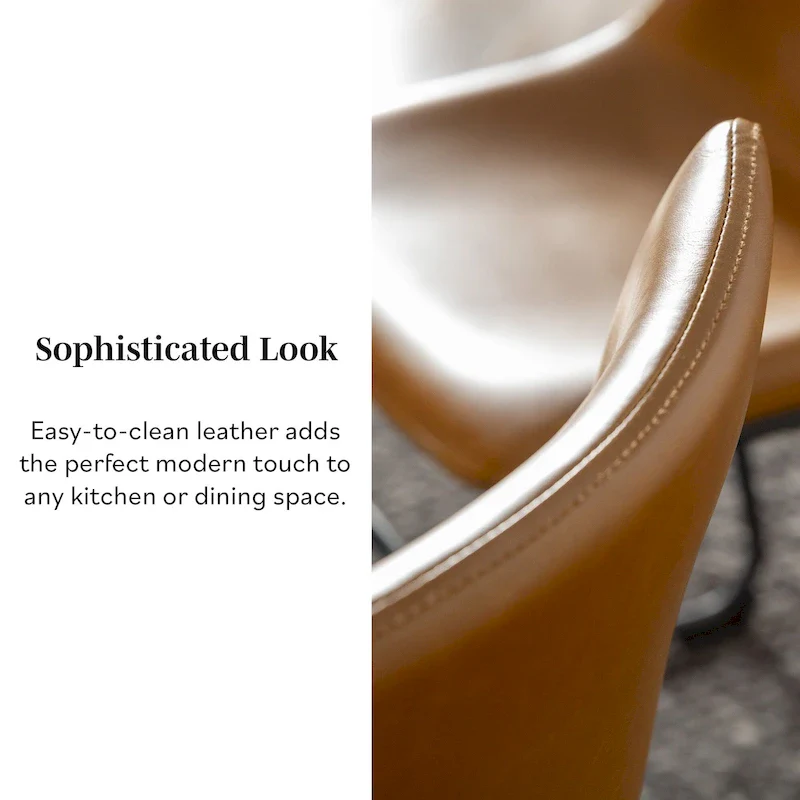 Faux Leather Dining Chair (Set of 2)