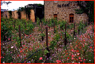 English Cottage Mix 0