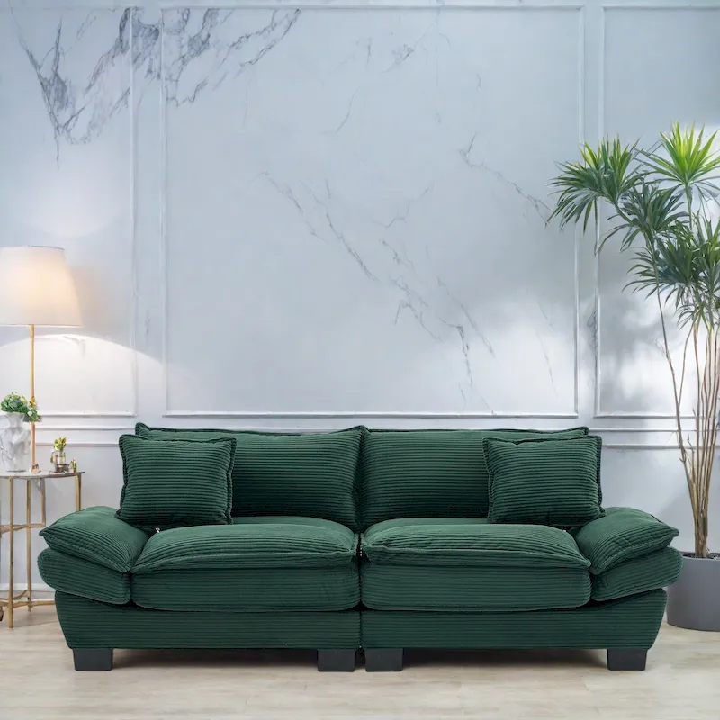 65.5 Upholstered 3-Seater Sofa Couch with Two Pillows and Sturdy Construction