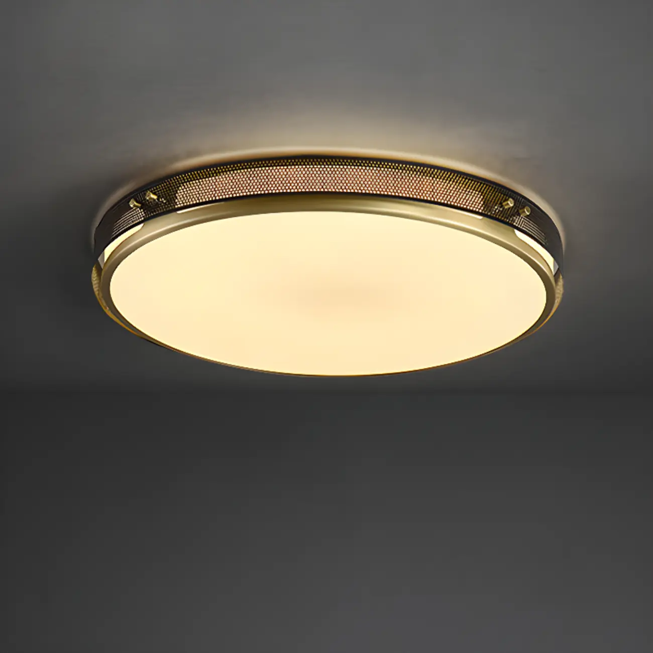 Modern Circle LED Flush Ceiling Light for Living Room Use