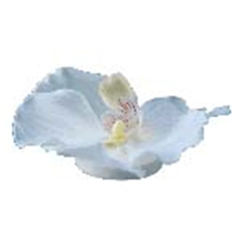 Orchid Heads Set Of 12- A