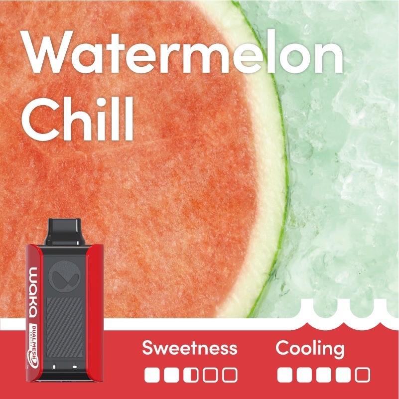 WAKA soPRO PA10000 Puffs 27 Flavors
