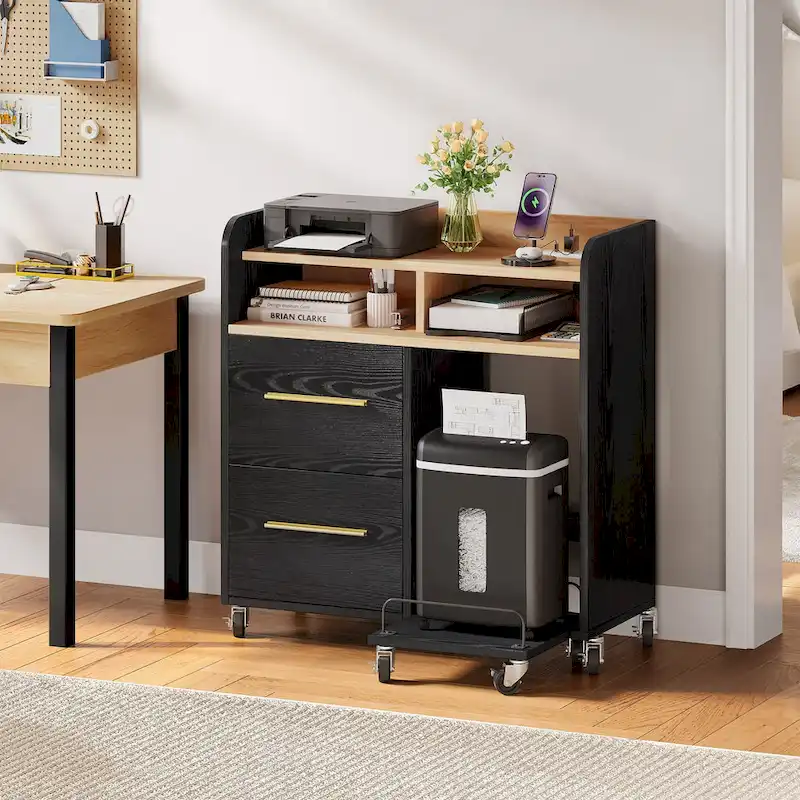 Moasis 2 Drawer Rolling File Cabinet with Printer Stand Cart for Home Office