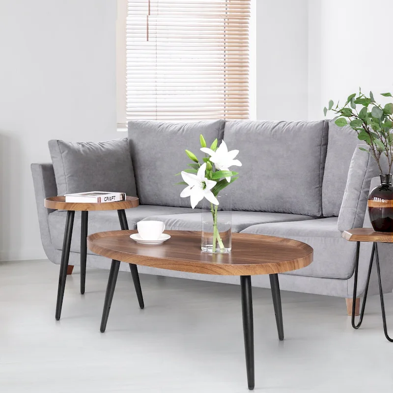 Set of 2 Modern Coffee Accent Table Home Storage Display Table