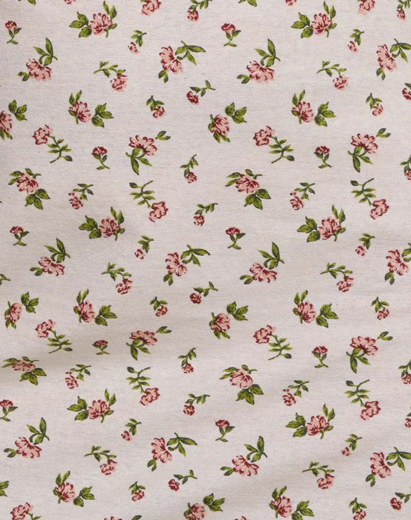 Ayana Mini Dress in Pretty Dainty Flower