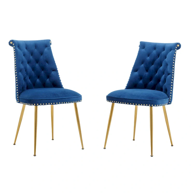 Clihome Modern Velvet Upholstered Featured Dining Chairs (Set of 2)