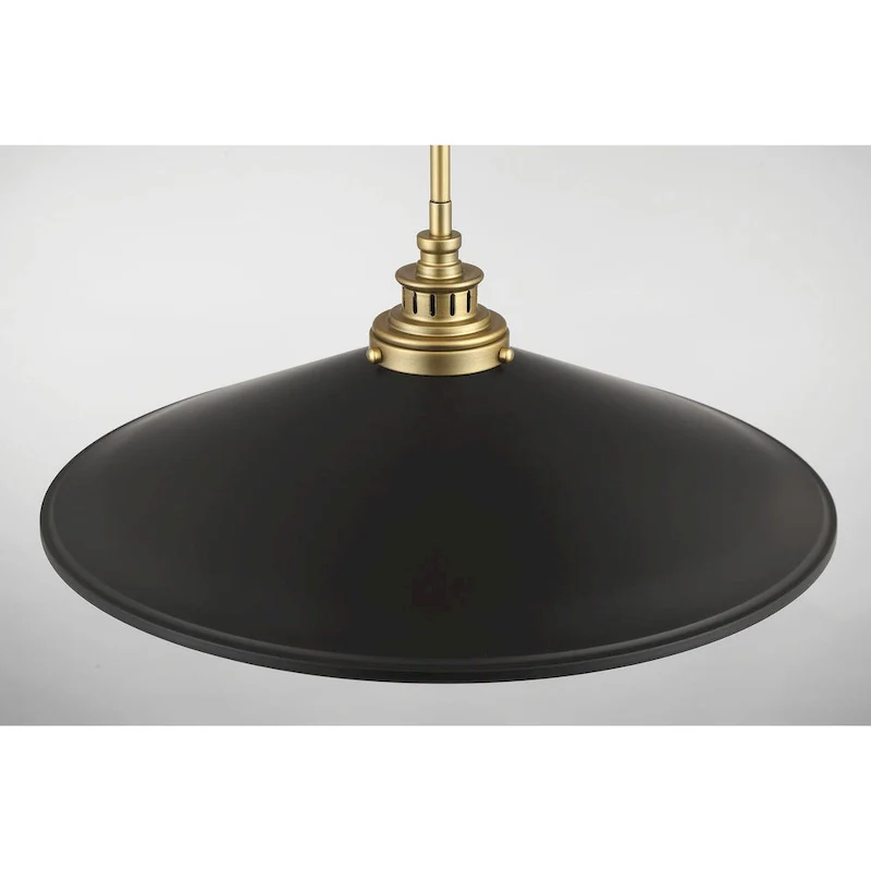 Minka Lavery Segan Coal And Soft Brass Pendant Light