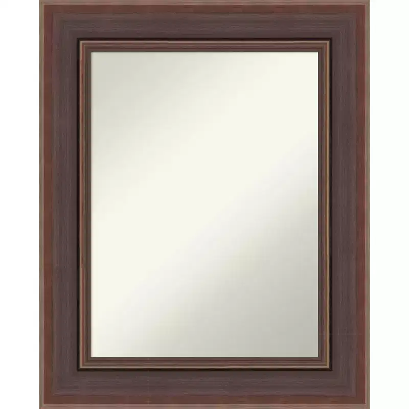 Amanti Art Moab Brown Bronze Non-Beveled Framed Bathroom Vanity Wall Mirror