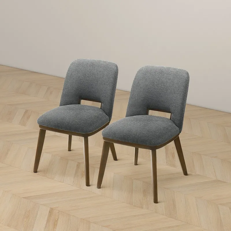 Raleigh Luxury Modern Solid Wood Dining Chair (Set of 2)