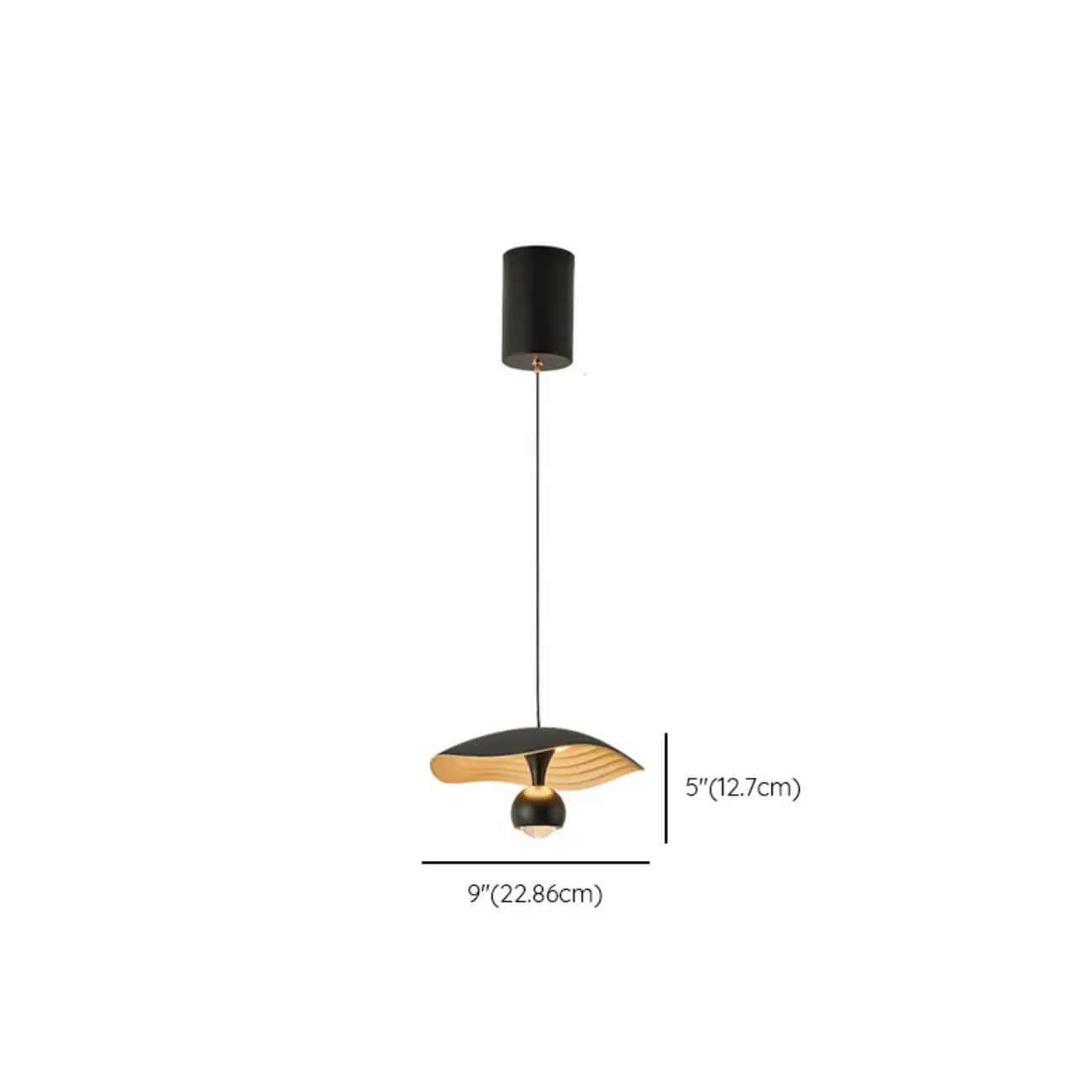 Dimmable Modern Acrylic Black 2-Light LED Pendant Light
