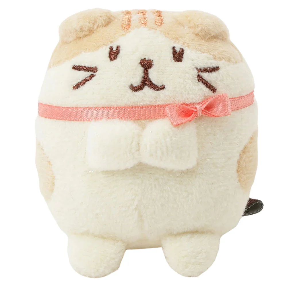 Hapins Kitten Small Scottish Fold