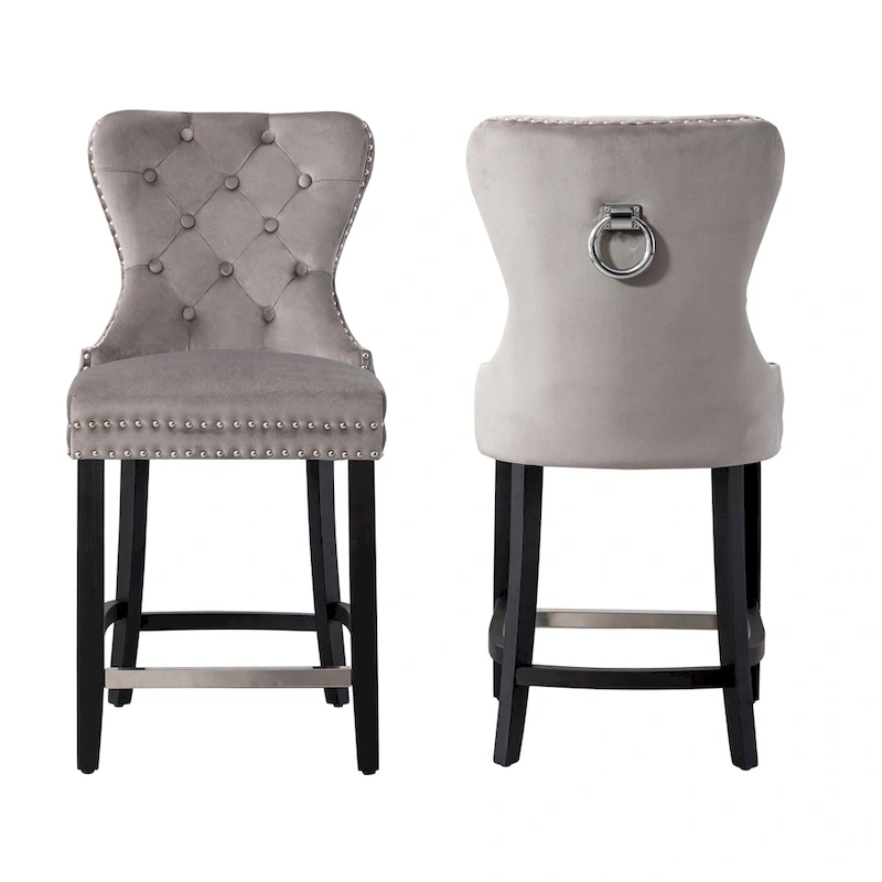 Carter 24  Wingback Tufted Nailhead Counter Stool (Set of 2)