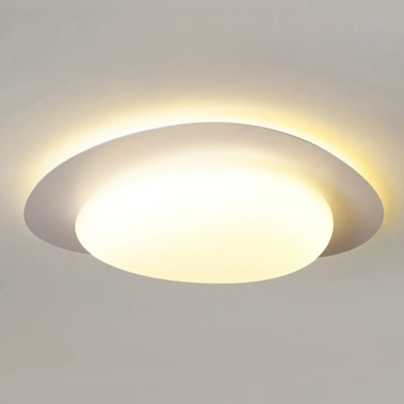 Dimmable Modern LED Flush Mount Ceiling Light with 2-Light