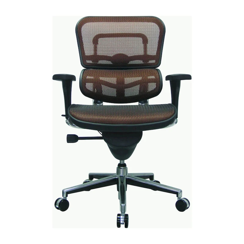 Eurotech Seating Ergohuman Mesh Managers Chair