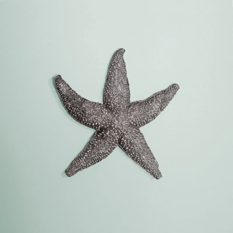 Allan Andrews Deep Pewter Coastal Starfish Wall Art (Small)