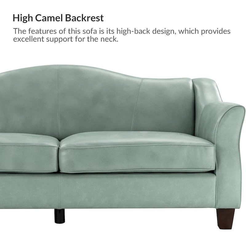 Sandra 81.5 Classic Genuine Leather Sofa With Solid Wood Legs By HULALA HOME