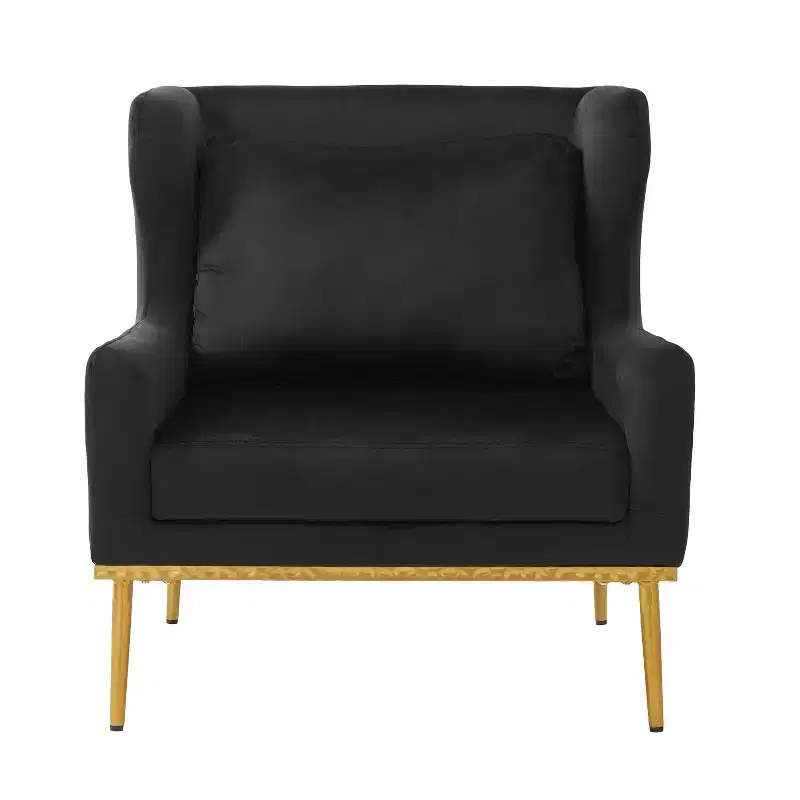 Christopher Knight Home Galina Modern Velvet Armchair with Pillow