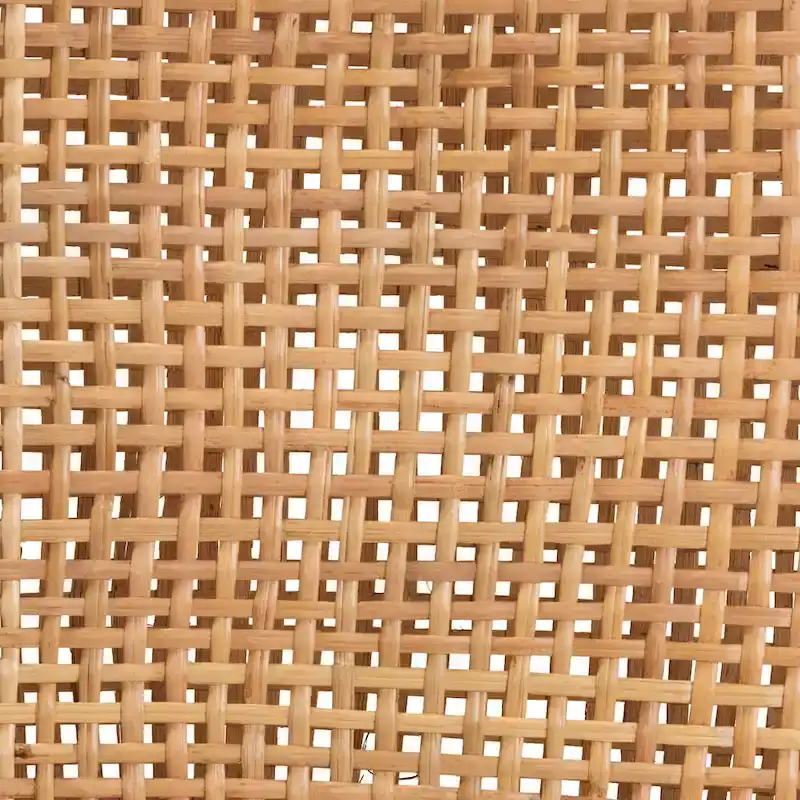 Lesia Modern Bohemian Natural Brown Rattan and Wood Counter Stool