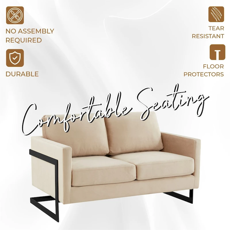 Upholstered Loveseat Sofa in Velvet Fabric with Removable Cushions and Stainless Steel Frame