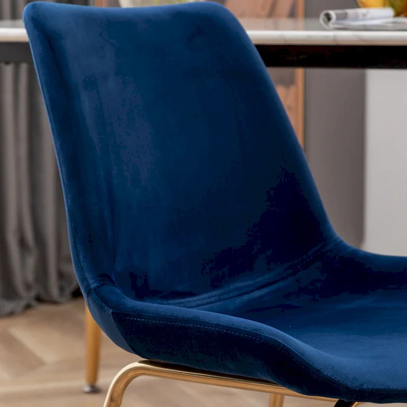 Roundhill Furniture Aufurr Modern Velvet Dining Chair (Set of 2)