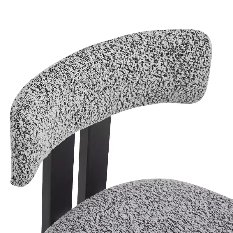 Christopher Knight Home Astura Iron Frame Upholstered Dining Chairs (Set of 2)